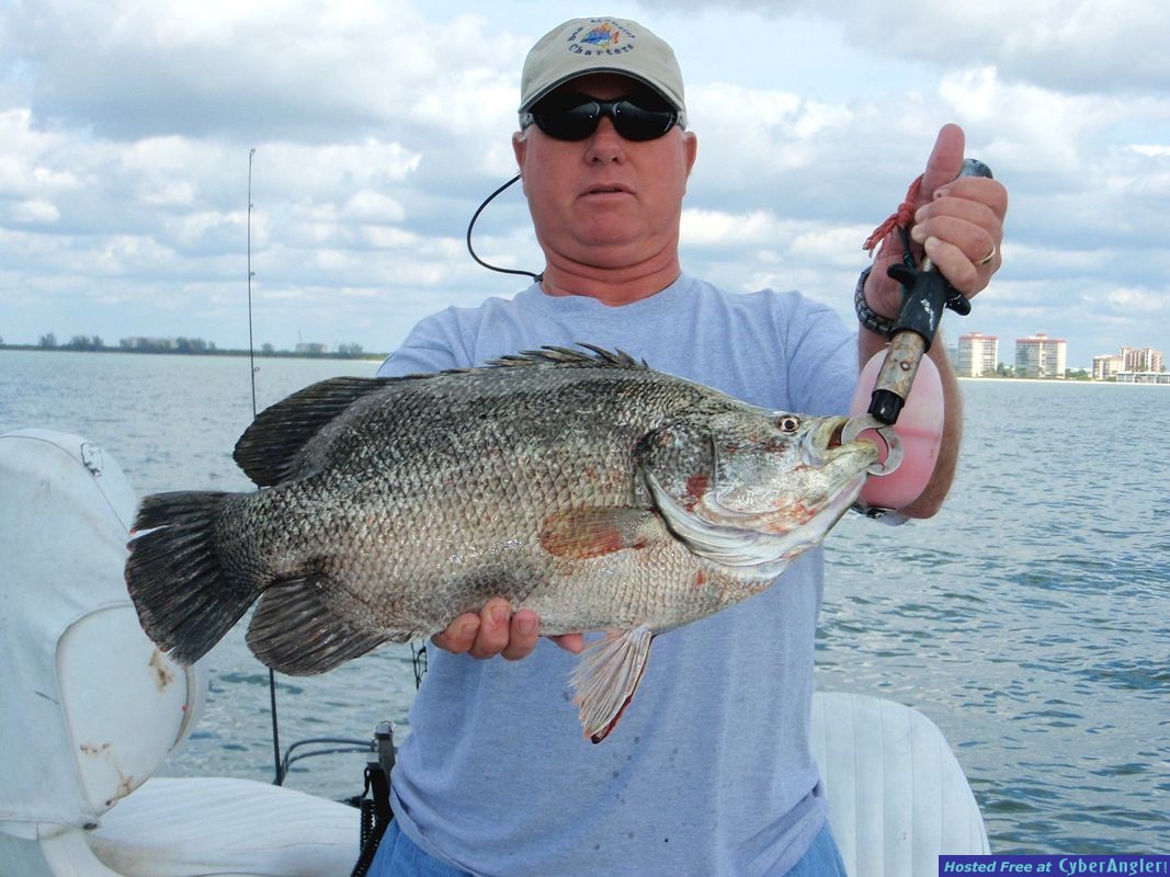 Tripletail season began this week