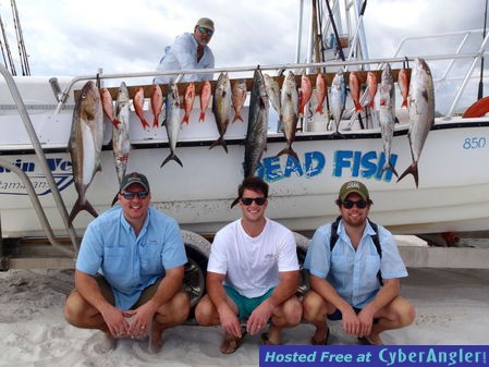 Click to Enlarge Photo