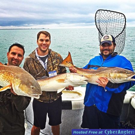 Click to Enlarge Photo