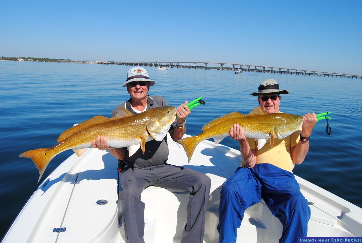 Two Big Redfish