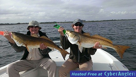 Two Golden Reds