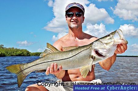 Click to Enlarge Photo