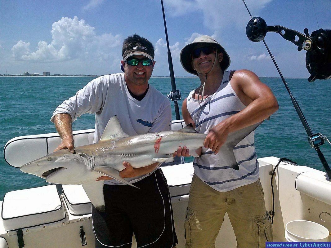 Chunky Blacktip