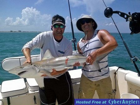 Chunky Blacktip