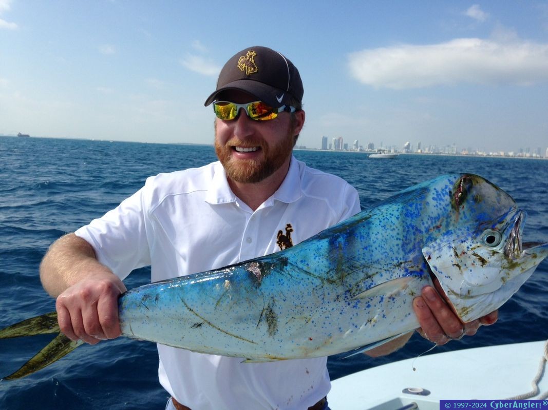 Lit Up Mahi