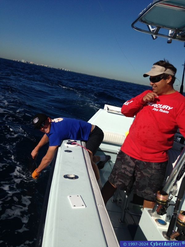 Sail Release