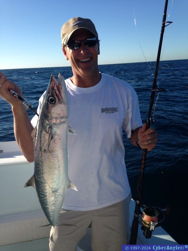 kinfish