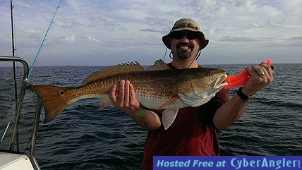 November Redfish