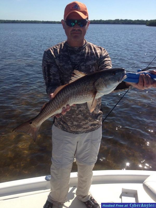 26.5 Red