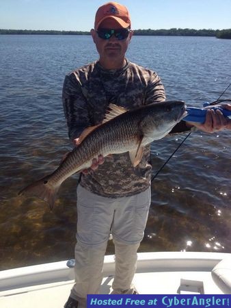 26.5 Red