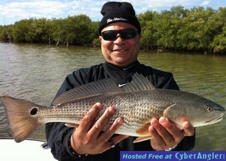 Click to Enlarge Photo