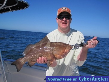 Lischer-25-inch Red Grouper