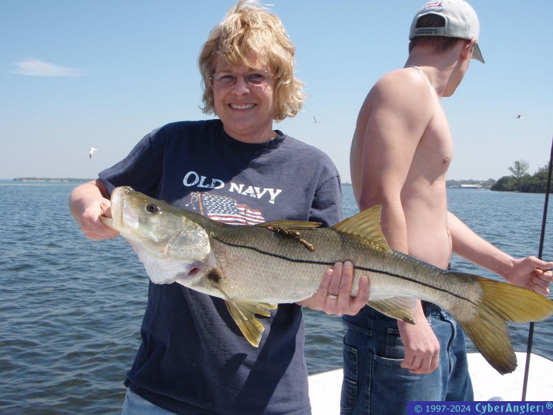 Nice snook caught in Tampa bay!