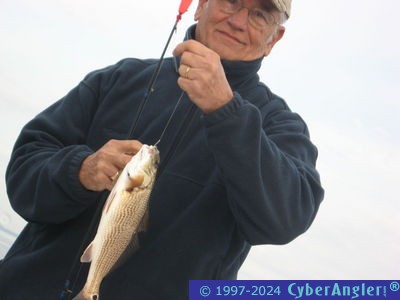 Click to Enlarge Photo