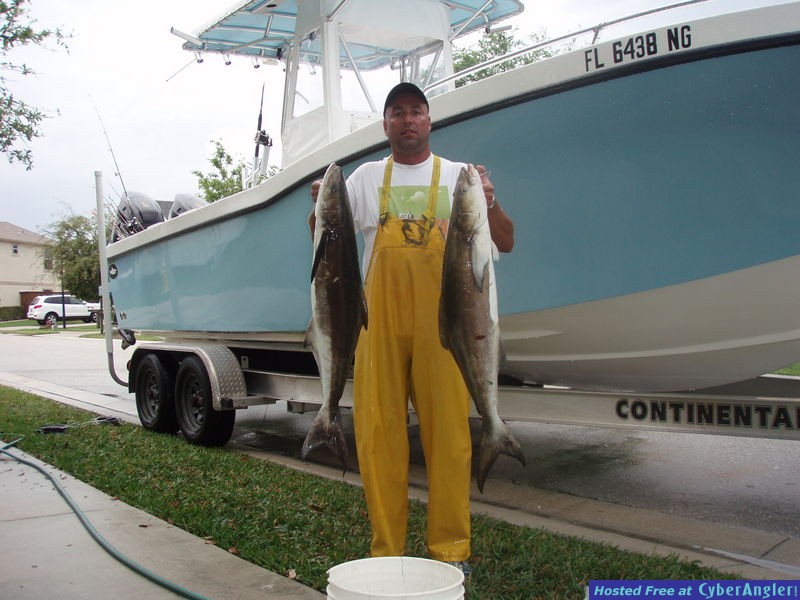 Cobia off Jupiter