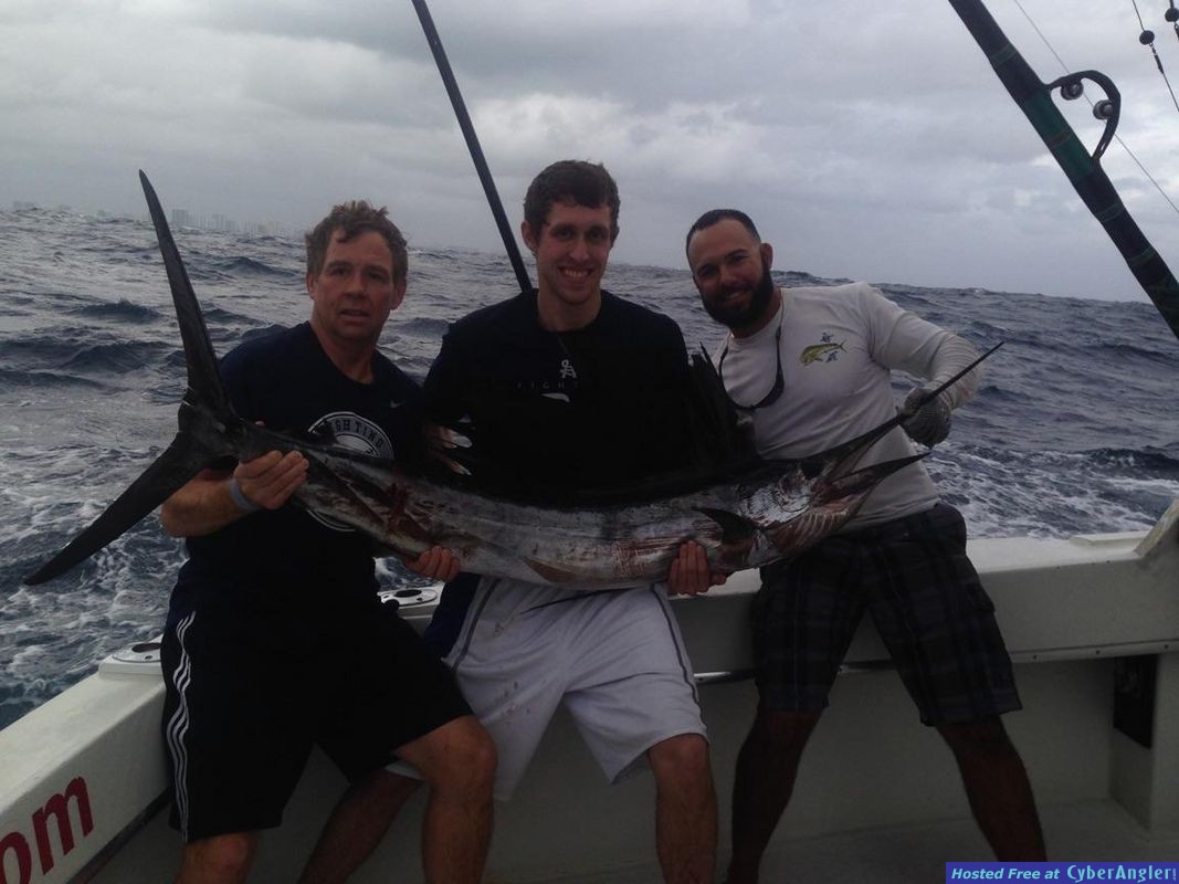 Sailfish