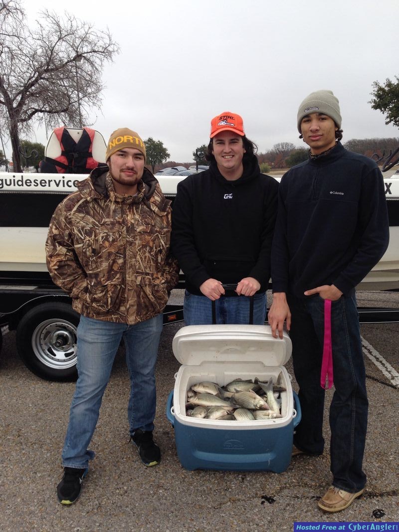 White Bass Action Consistant