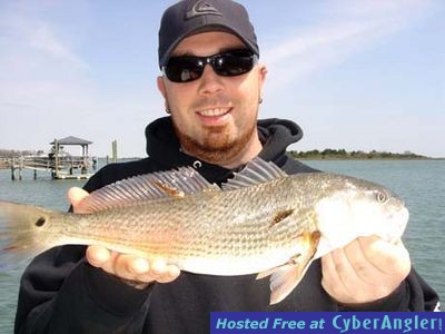 Redfish Action