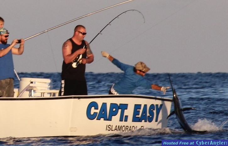 Captain_Easy_Islamorada_sailfish_9