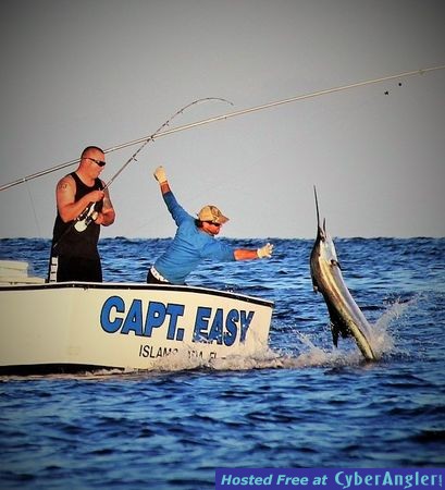 Captain_Easy_Islamorada_sailfish_Florida_keys_deep_sea