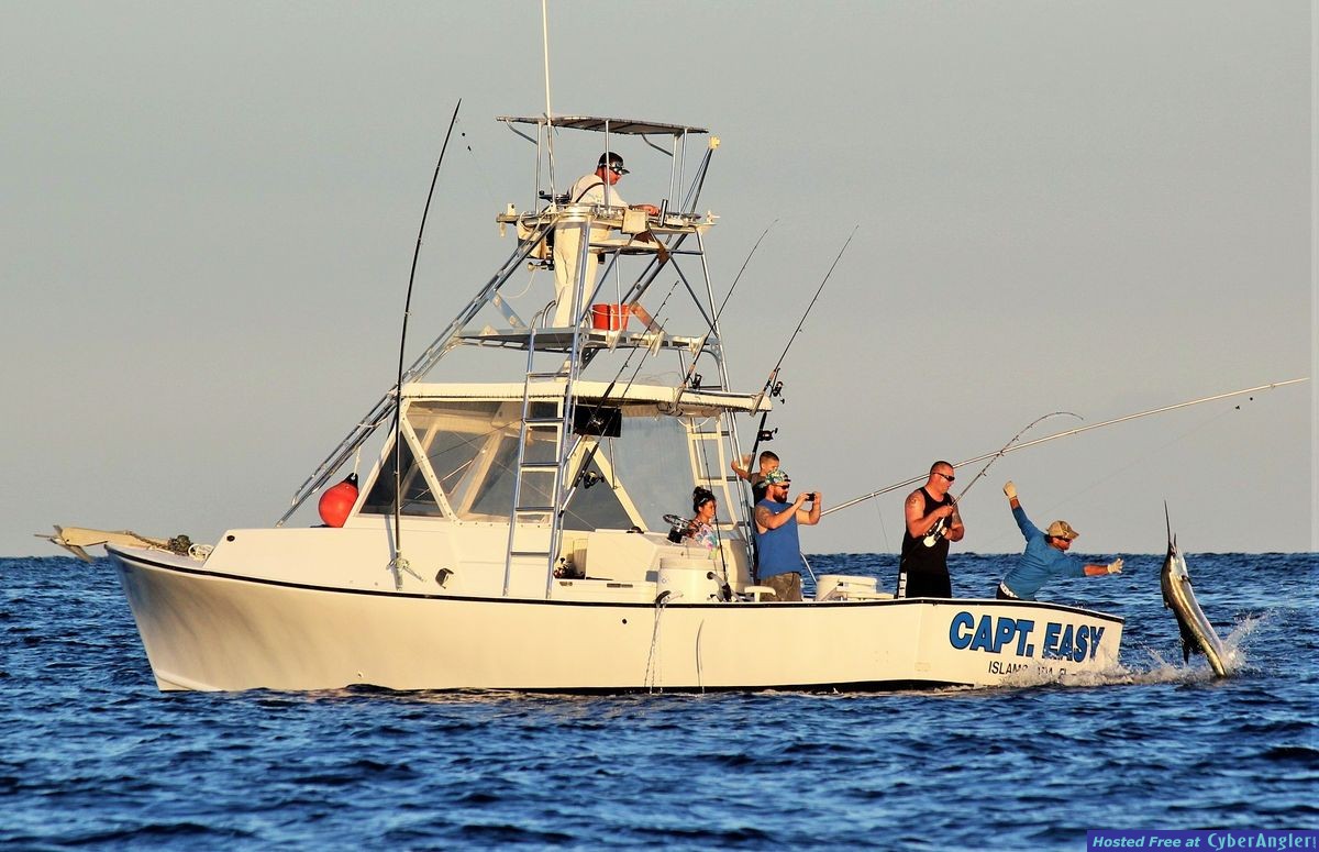 Captain_Easy_Islamorada_sailfish_fishing
