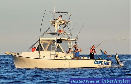 Captain_Easy_Islamorada_sailfish_fishing