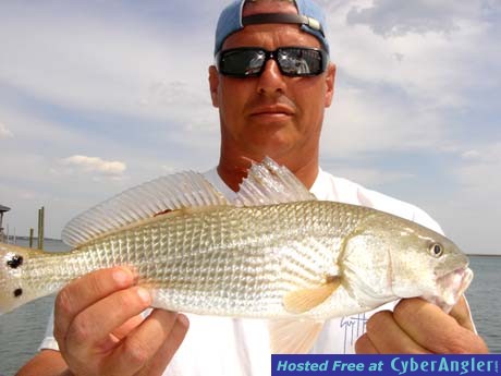 More Redfishing