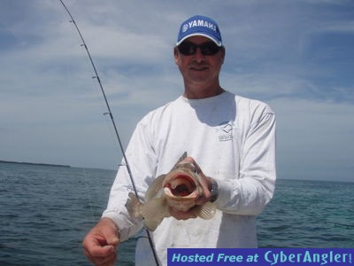 Click to Enlarge Photo