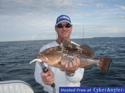 Click to Enlarge Photo