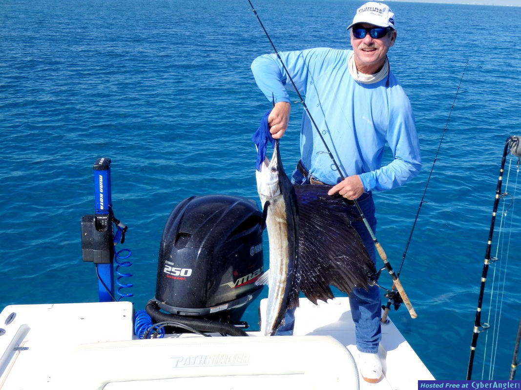 Sailfish_2014_9
