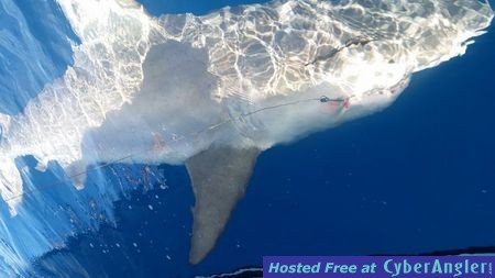 Click to Enlarge Photo