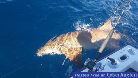 Click to Enlarge Photo