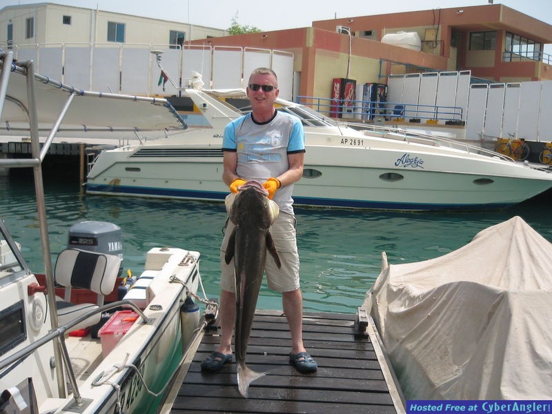 cobia -Lemon Fish Abu Dhabi Middle East