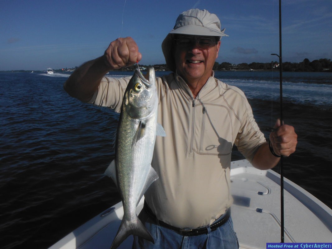 Click to Enlarge Photo