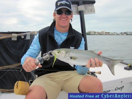 Ian McEachern Sarasota Bay fly bluefish