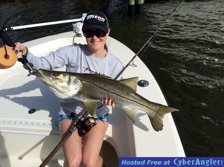 Click to Enlarge Photo