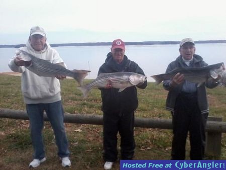 Click to Enlarge Photo