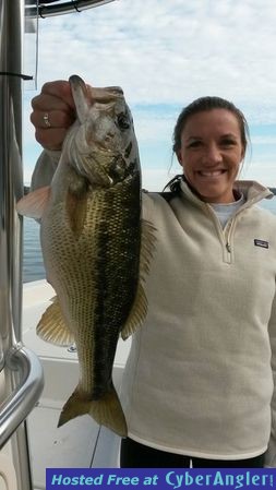 Click to Enlarge Photo