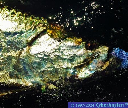 Click to Enlarge Photo