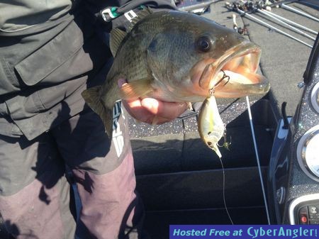 Click to Enlarge Photo