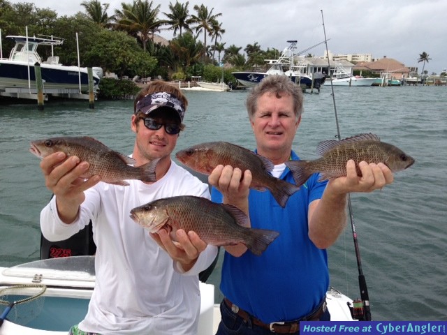 Inshore Snapper Action