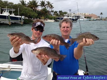 Inshore Snapper Action