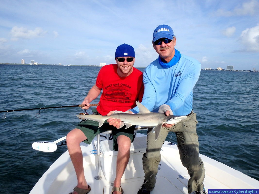 Casey_n_bonnethead_shark