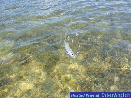 Click to Enlarge Photo