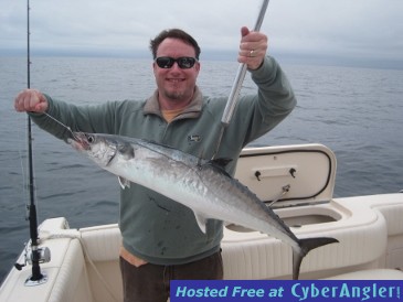 37-inch kingfish