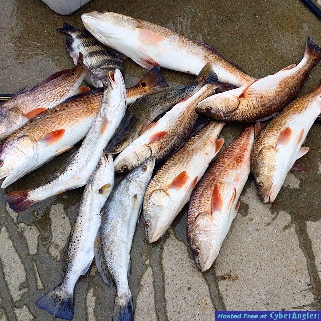 Galveston Fishing Guides