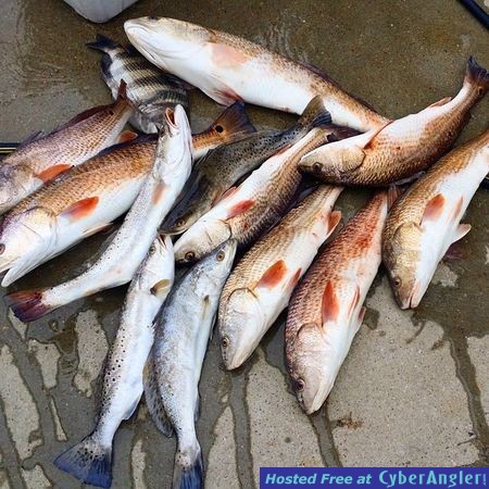 Galveston Fishing Guides