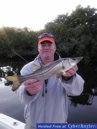 Snook Fishing Tampa