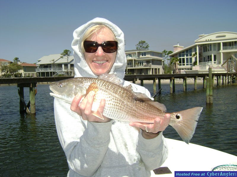 more Red Fish action