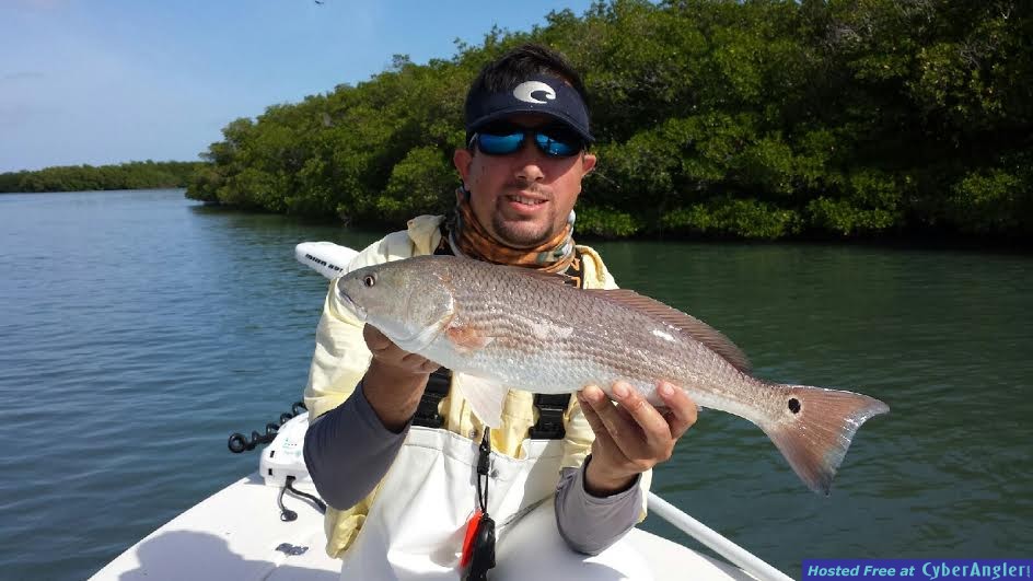 DOA Redfish